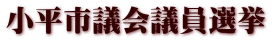 小平市議会議員選挙